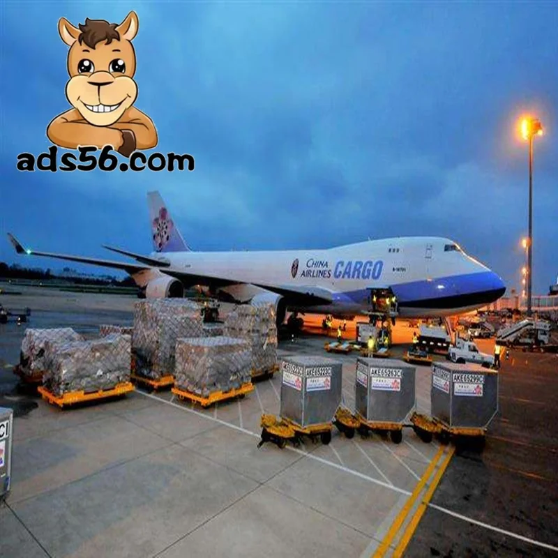 Special line transport services to Denmark and Norway include customs clearance to door