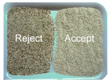 High capacity optical sorter parboiled rice color shape size sorter machine for rice mill from China Hefei