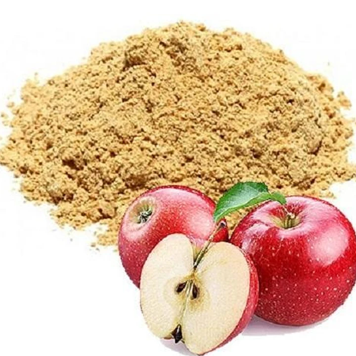 Good Quality High Nutritional Apple Powder for Health Benefit Available at Wholesale Price for Export from India