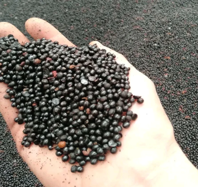 
Black color no fruit shells Zanthoxylum bungeanum Maxim seeds 