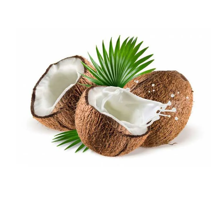 2024 High Quality Freeze Dried Coconut Water Powder Bulk Coconut Cooking Oil Mct Oil Powder