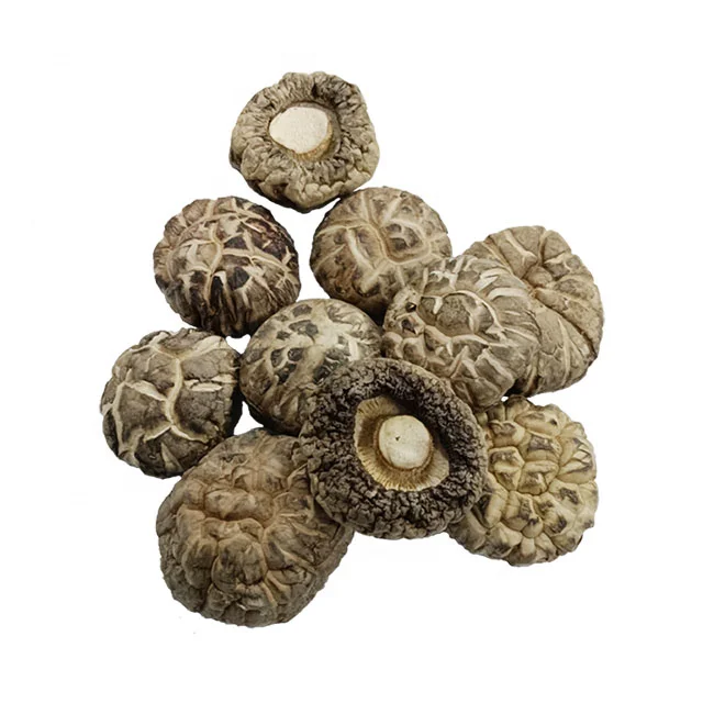 wholesale dried shiitake mushroom high quality organic dried flower shiitake mushroom whole mushroom( 4-5cm )