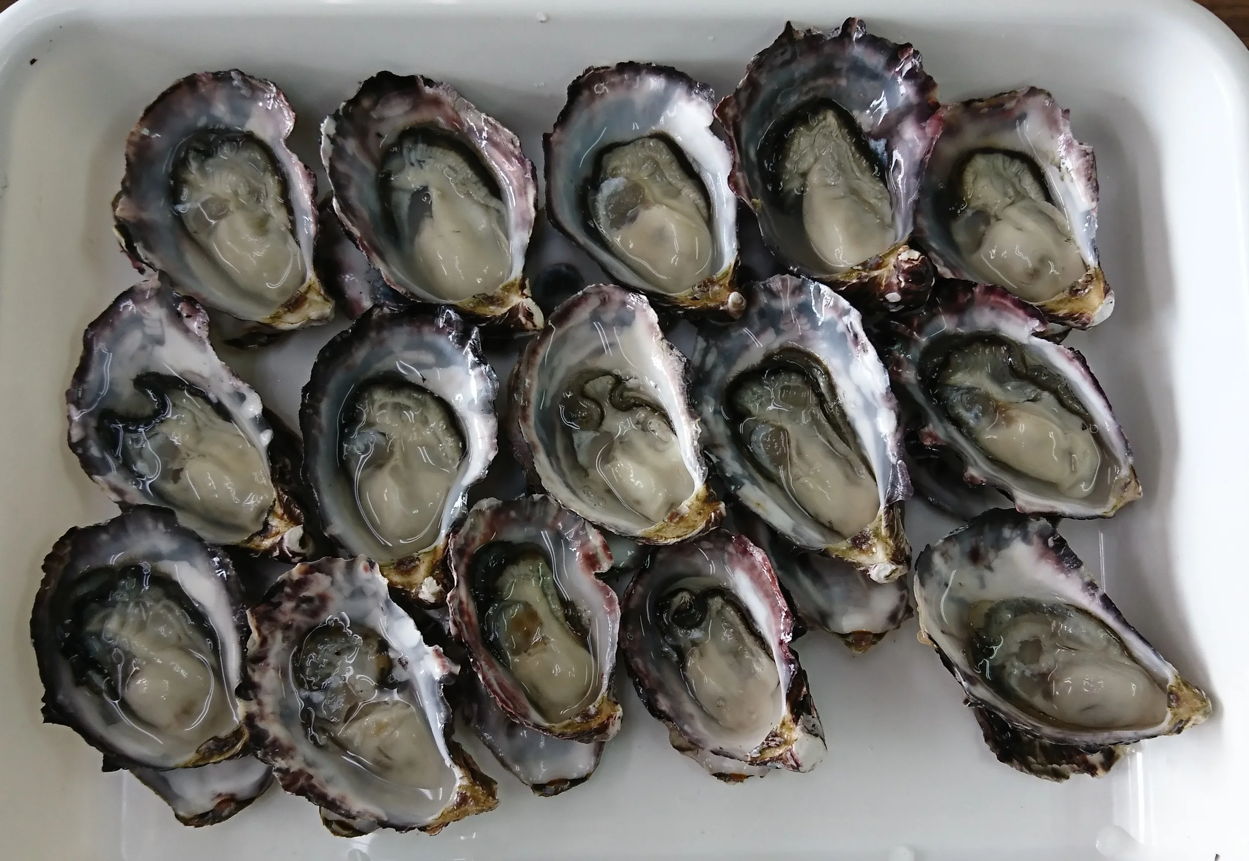 Strong flavor frozen food oyster dish in a clean ocean area