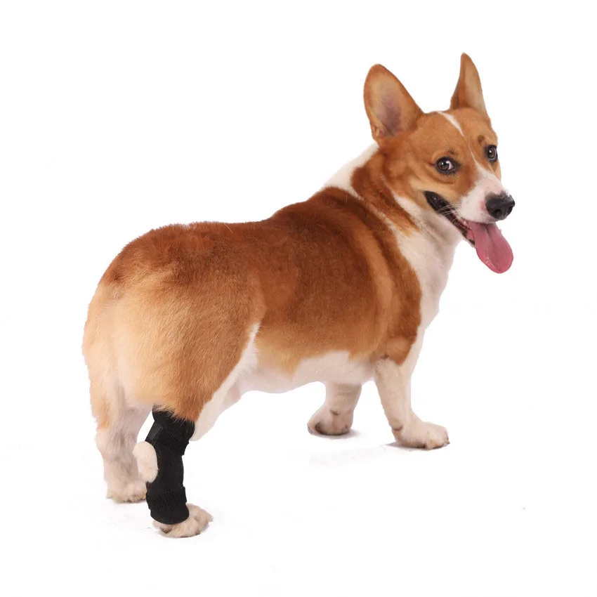Hot Selling Recovery Protector Dog Leg Sleeve Dog Knee Brace Neoprene Dog Leg Brace for Hind Legs