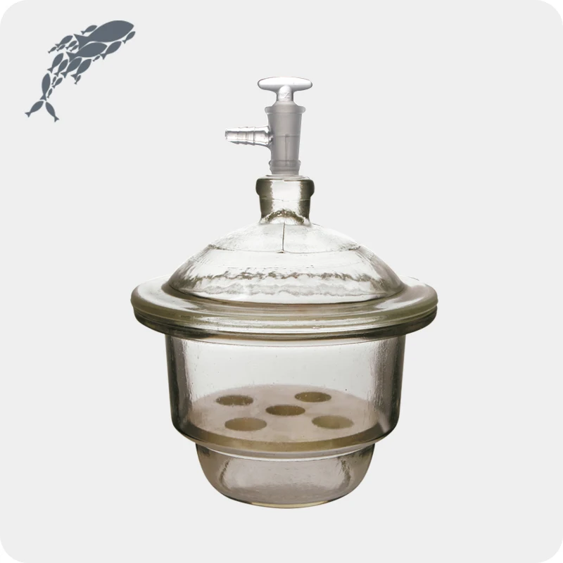 JOANLAB Equipment Brown Glass Vacuum Desiccator For Sale