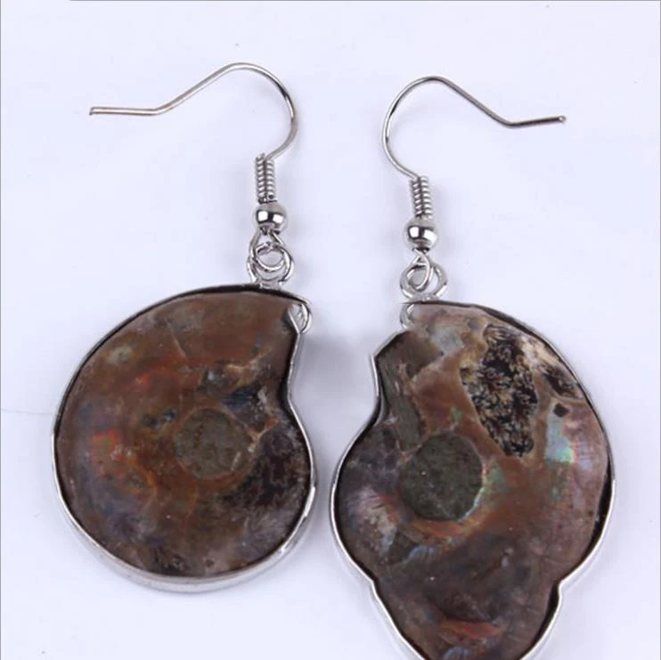 Natural half ammonite fossil rock sea snail stone fossil for sale