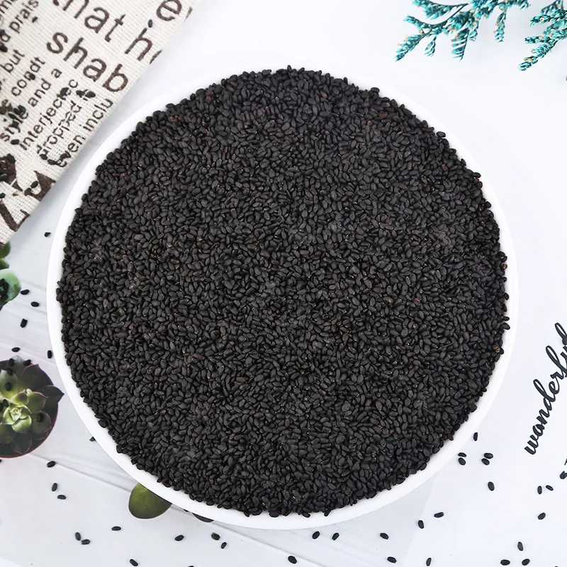 Custom Factory Direct Lowest Price Most Competitive High Quality Basil Seeds