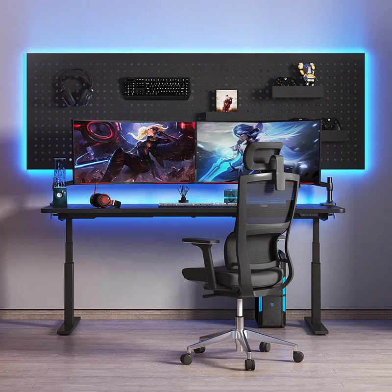 Ergonomic Office Dual Motor Electric Height Adjustable Sit To Stand Standing Desk