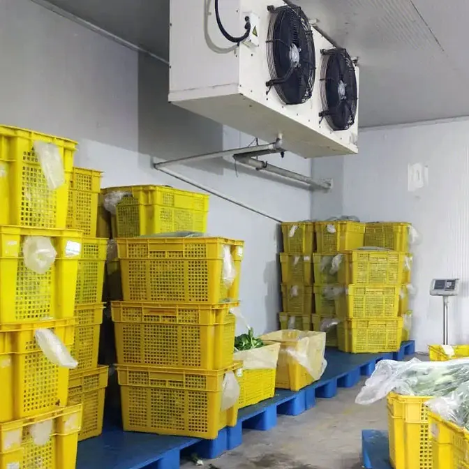 Hot Selling Mobile Movable Portable Cold Room Cherry Cold Storage Cooler Walk in Cold Storage Room For Fresh Fruit