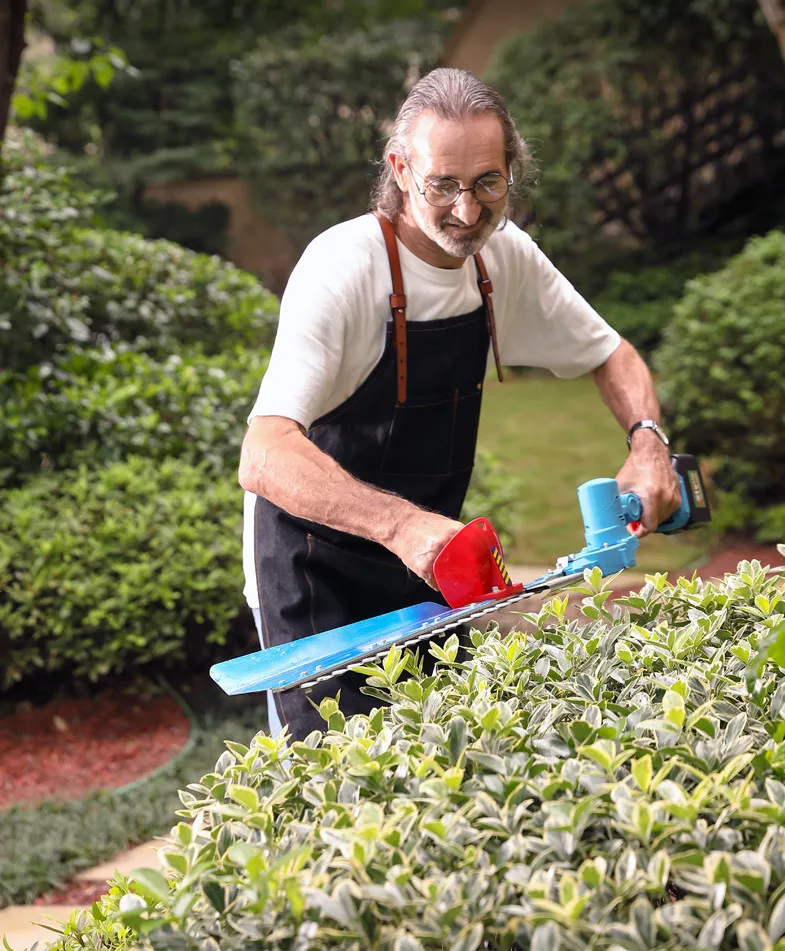 Yodoo Powerful Integrated Battery Hedge Trimmer