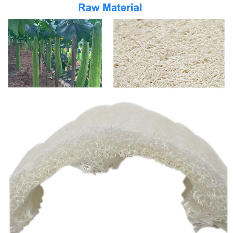 Wholesale Natural Luffa Pads Thin Reusable Body Cleansing Loofah Pads