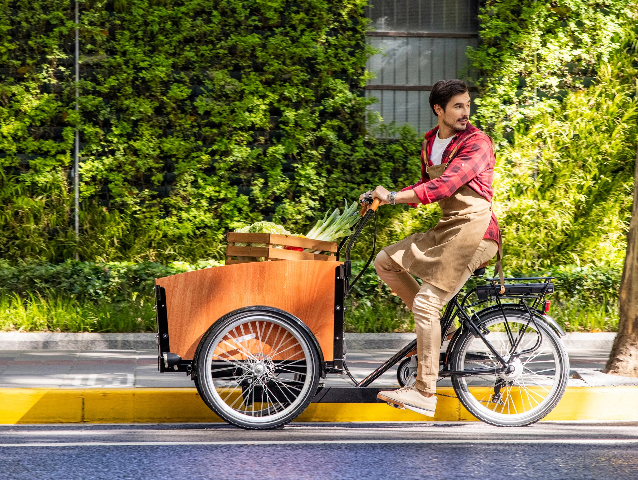 Electric Cargo Bike Made in China Bakfiets Delivery Cargo Urban Family