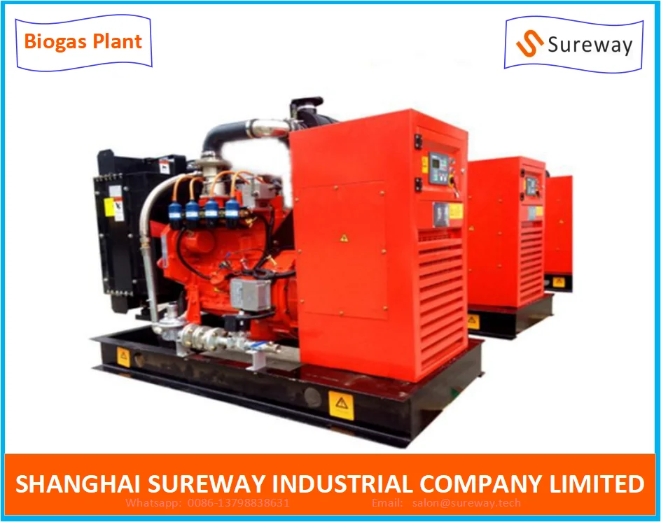 30 KW Gas Generatornatural gas genset for power generation