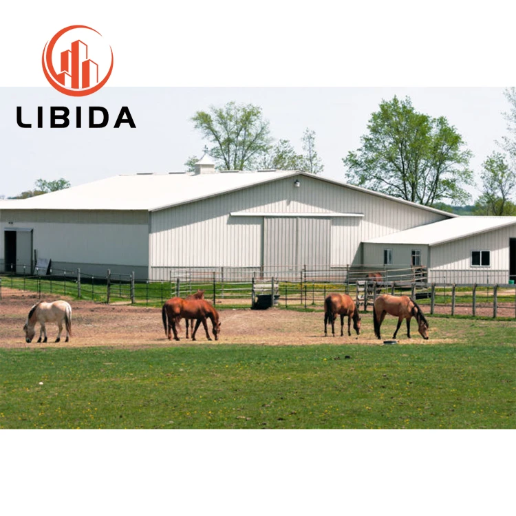 OEM/ODM Light Steel Fabrication Metal Steel Structure Farm Shed Steel Structural Warehouse Building