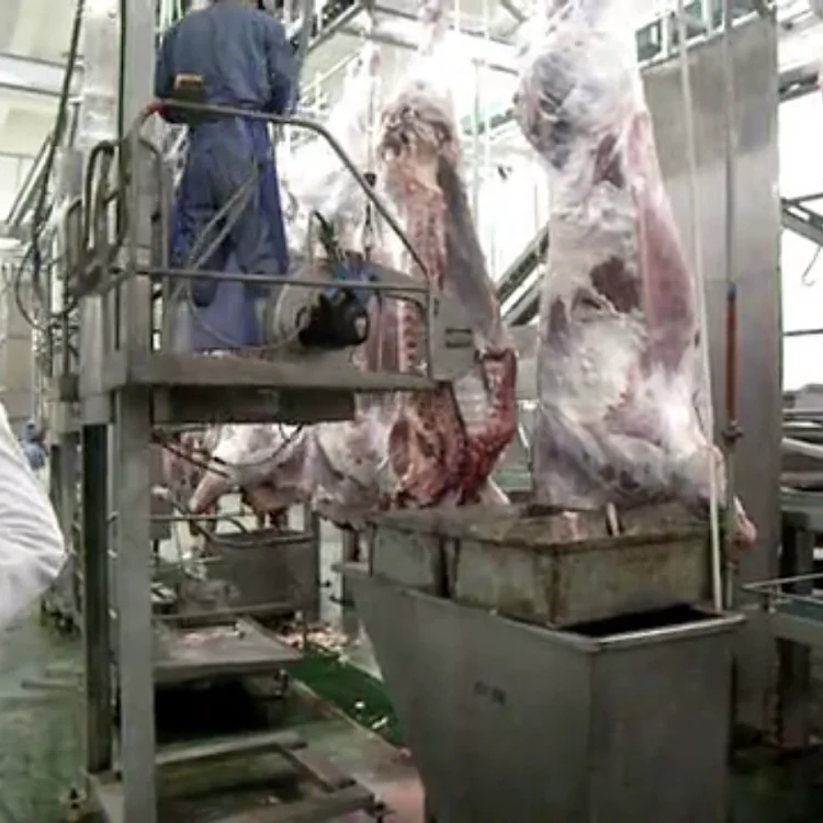 Оборудование для убоя пила разделения каркаса крупного рогатого скота ленточная инвентарь