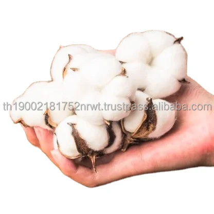 Cloths Cotton Fabric Material  Pure Cotton Agricultural Product Organic Cotton Soft Fluffy Staple Fiber