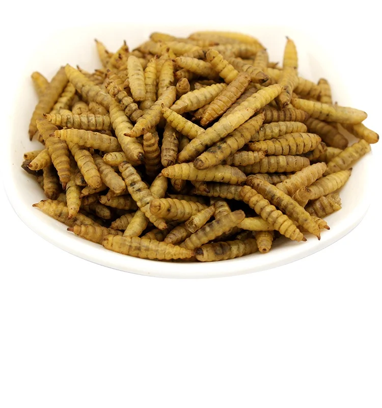 Factory Direct Sales Products Fish Bird Snack Food Larvae Dried Black Soldier Fly