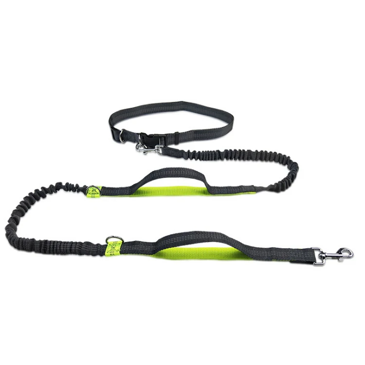Wholesale Durable Strong Running Dog Lead Reflective Hands Free Dog Bungee Leash