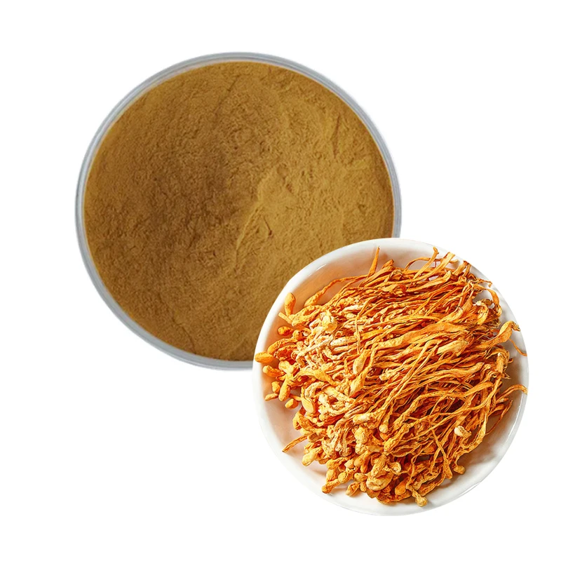 Organic 10:1 Mushroom Ground Powder Health Cordycepin 1% Cordyceps Sinensis Extract Cordyceps Militaris Powder 1 Kg