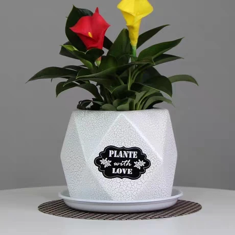 
Simple large white modern tiger skin orchid butterfly orchid special clearance custom Chinese manufacturers 