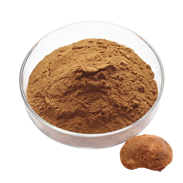 
Natural Bulk Mushroom Extract Lions Mane Powder 