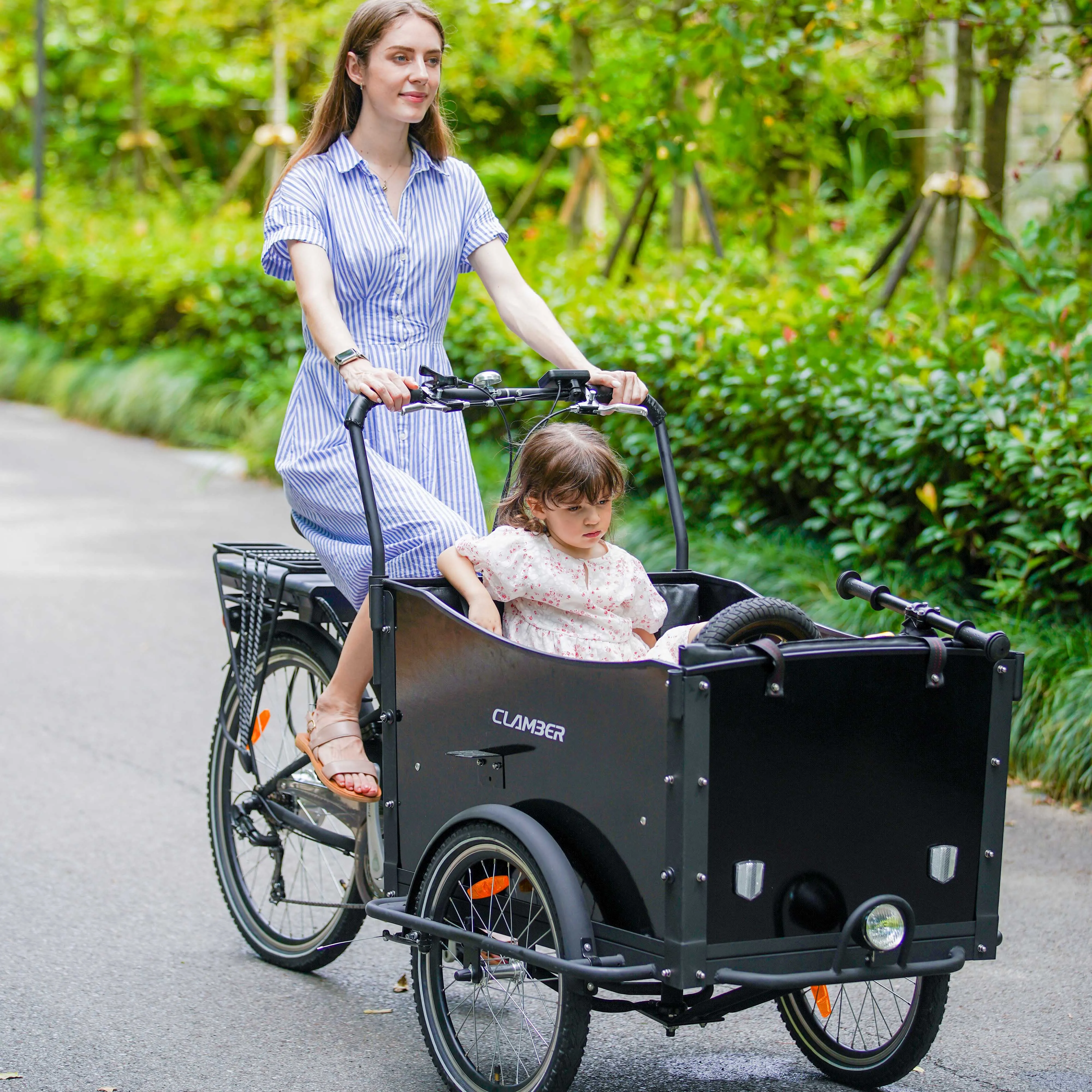 Electric Cargo Bike with Rear Carrier Battery 36v Three-Wheel Steel Frame for School Bus Use