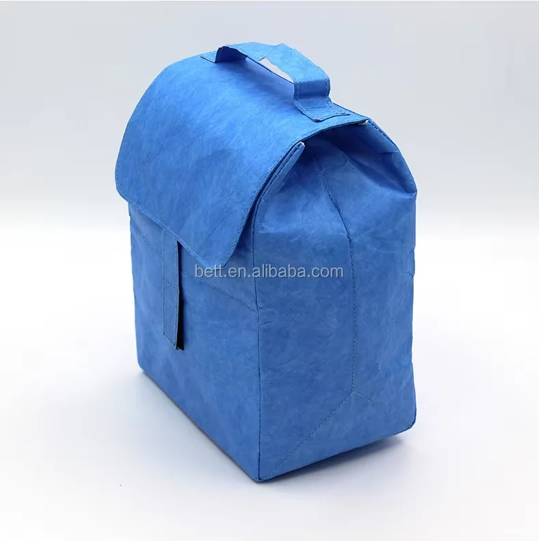 Eco-Friendly Tyvek Food Paper Bag Casual Use Insulated Cooler with Vintage National Style Foldable Customizable Color for Lady