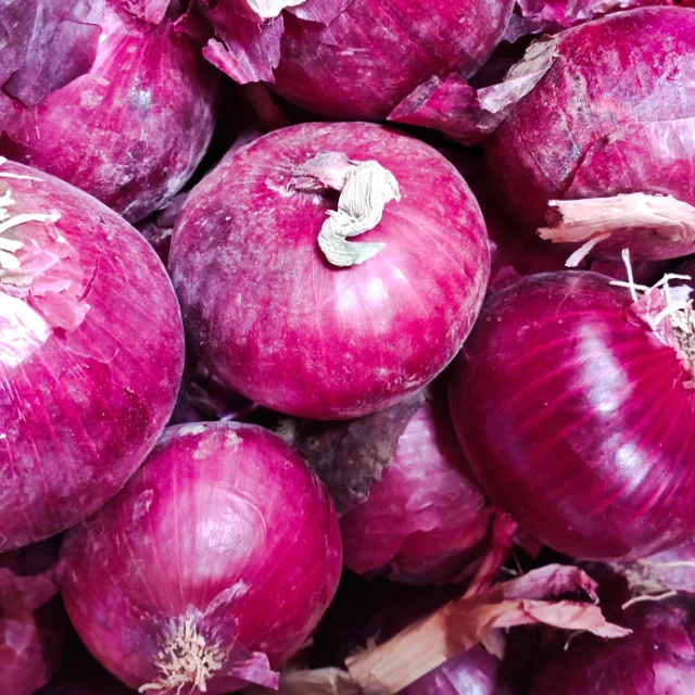 Onion Exporter Fresh Onion