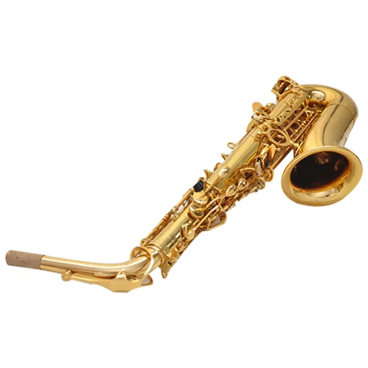
Gold Lacquer Brass RMAS-710 Alto Instrument Professional Eb Tone Alto Saxophone 