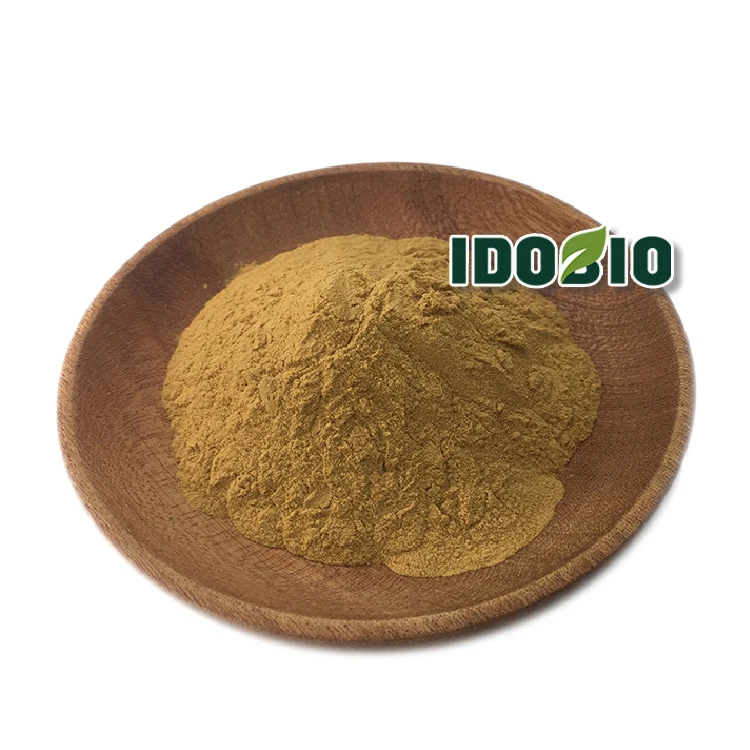 Pure Rosehip extract/Rosehip extract powder/Rosehip powder