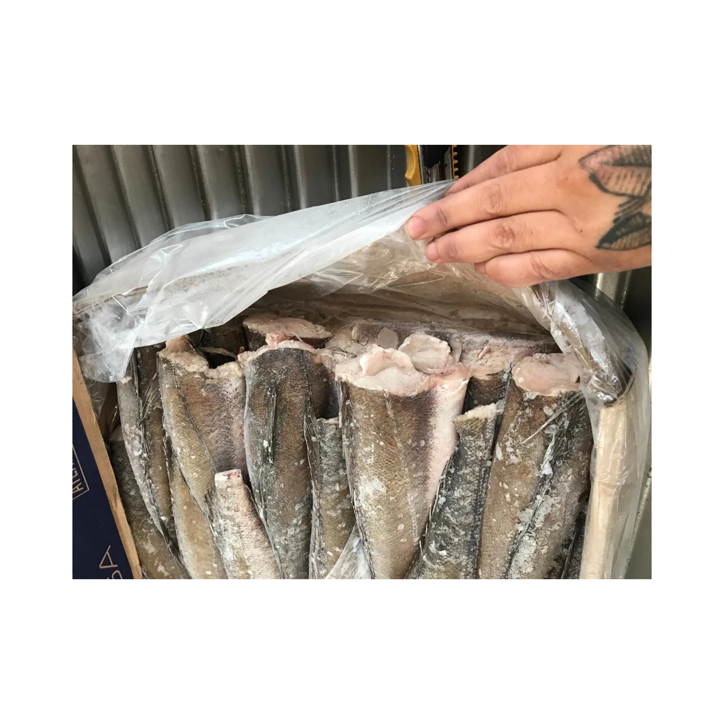 High Quality Hake HGT Economically Priced Cod with Great Value