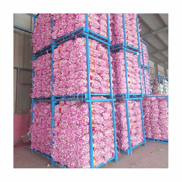 Bawang putih Chinese fresh garlic high quality best price wholesale garlic GLOBAL GAP fresh garlic