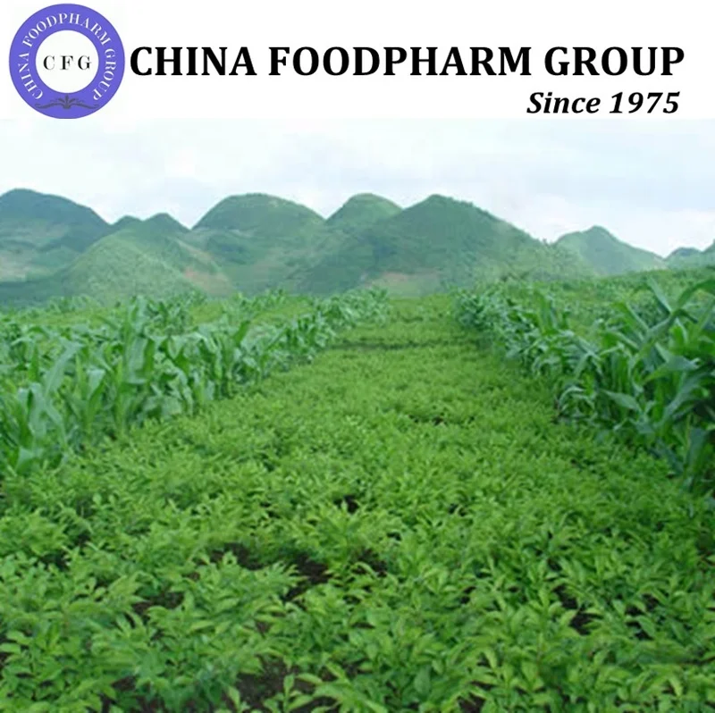 
High quality Konjac glucomanan powder from factory directly supply 