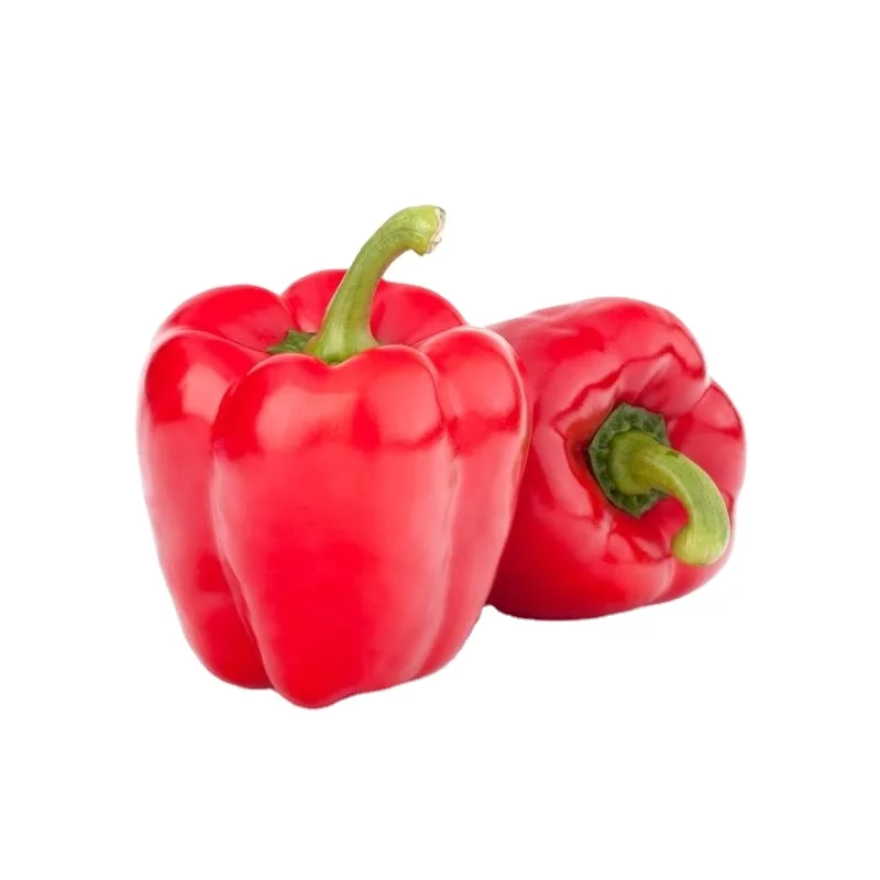 
Natural Grown Fresh Bell Pepper in Best Price 