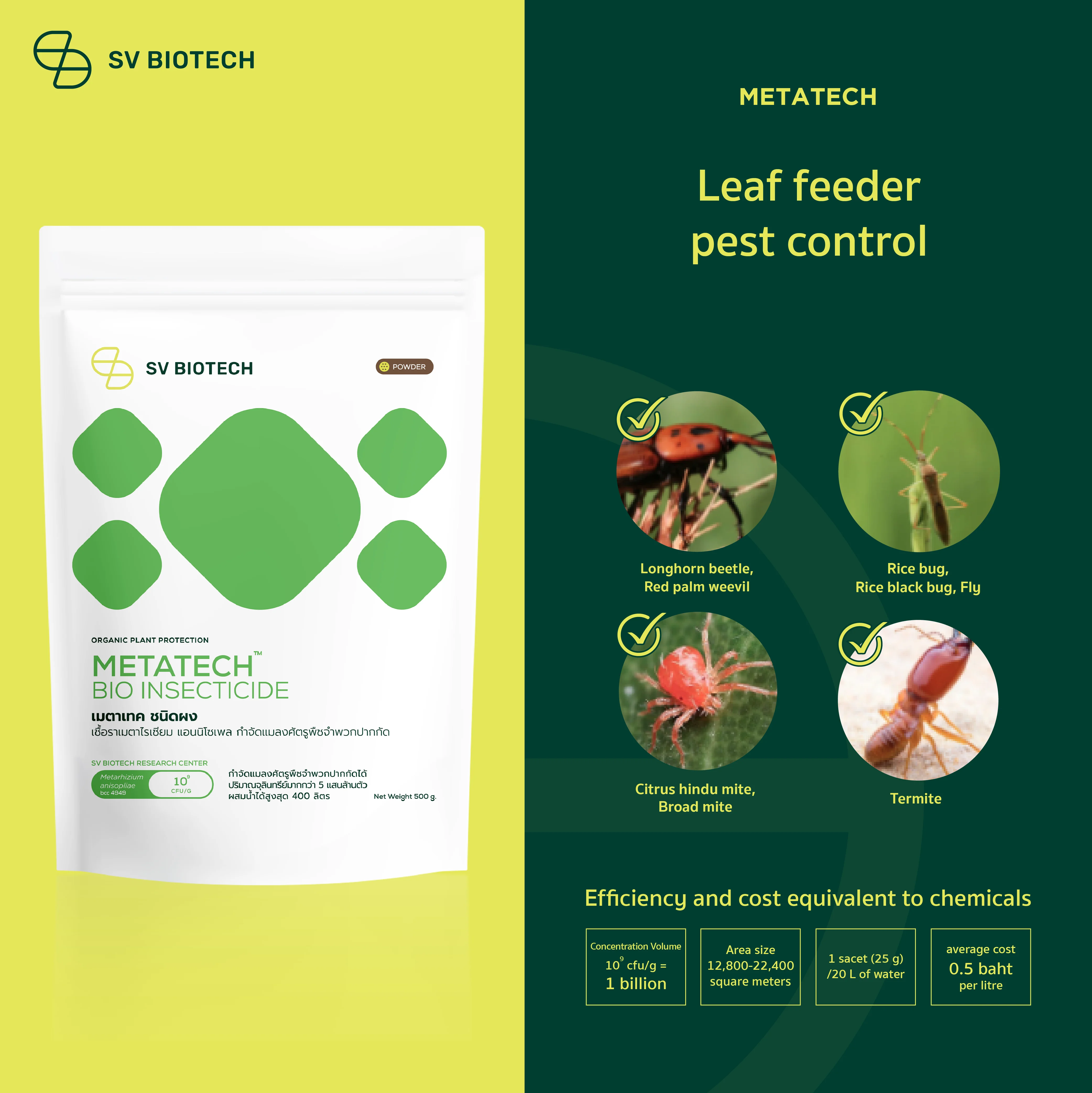 Beauveria Bio Insecticide Metarhizium Plant Protection Superbeautech Anisopliae Metatech By SV Biotech Plant Protection