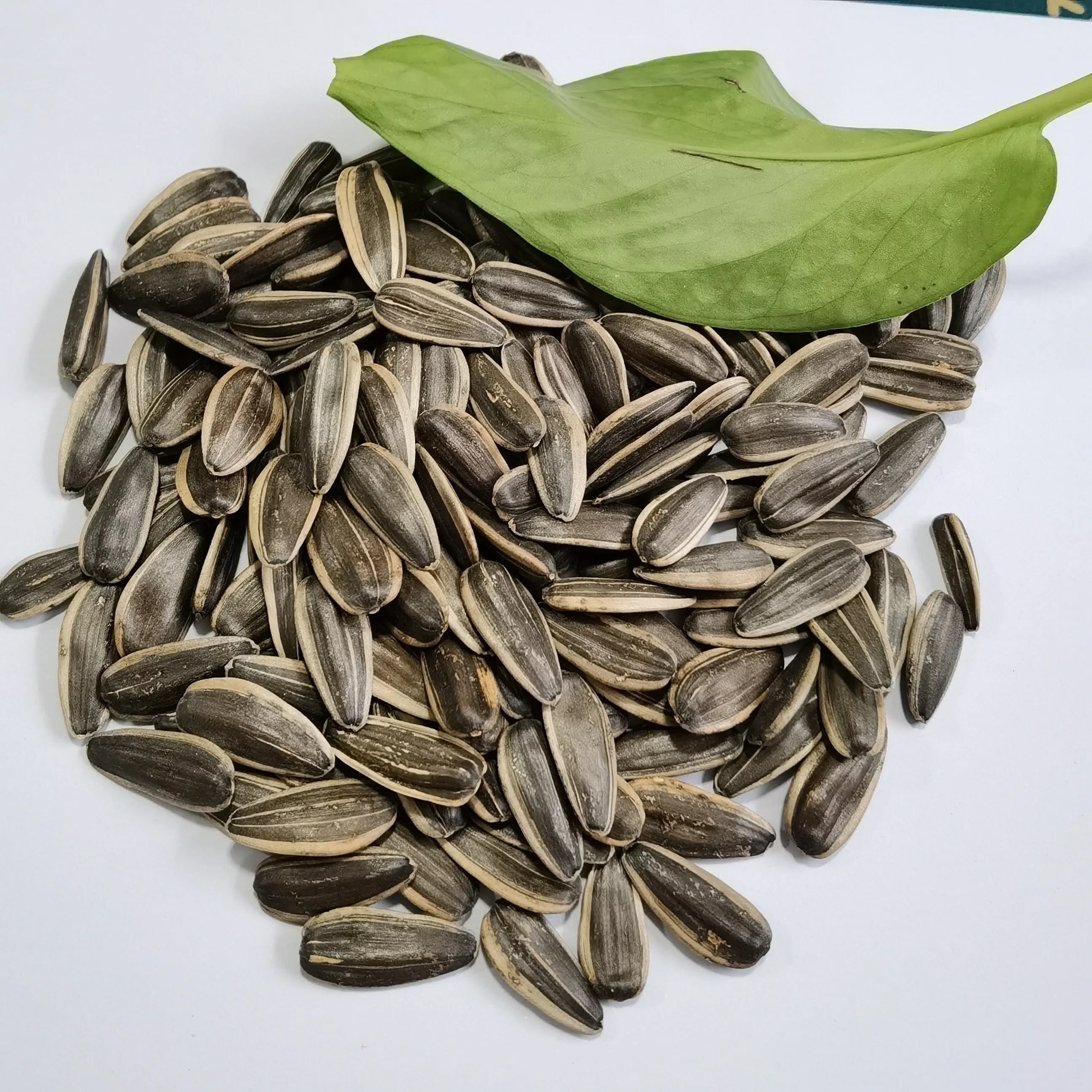 Factory direct high quality black sunflower seeds raw sunflower seeds 361