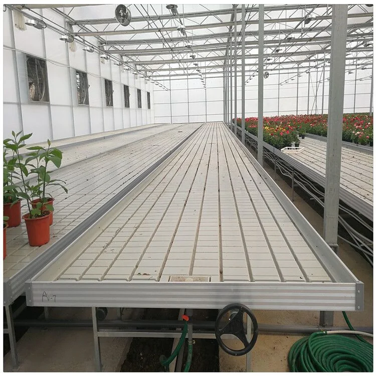 Food Grade ABS Panels Indoor Hydroponics System Ebb And Flow Table Rolling Bench