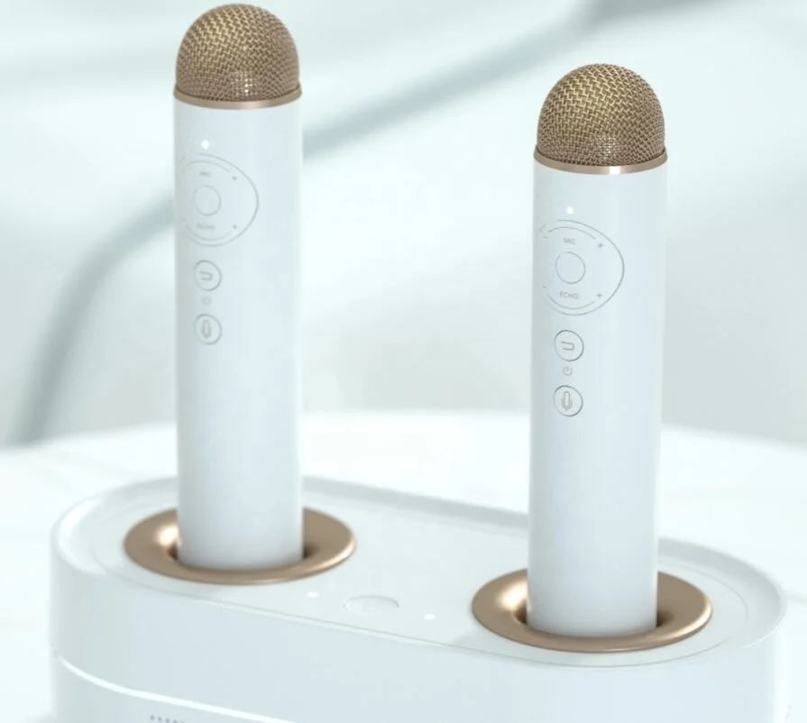 Производитель караоке мини Караоке Бумбокс от loostone PUREMIC K2