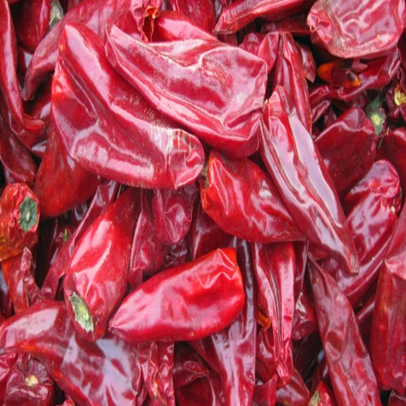 10000 чили Jinta индейка Chilli