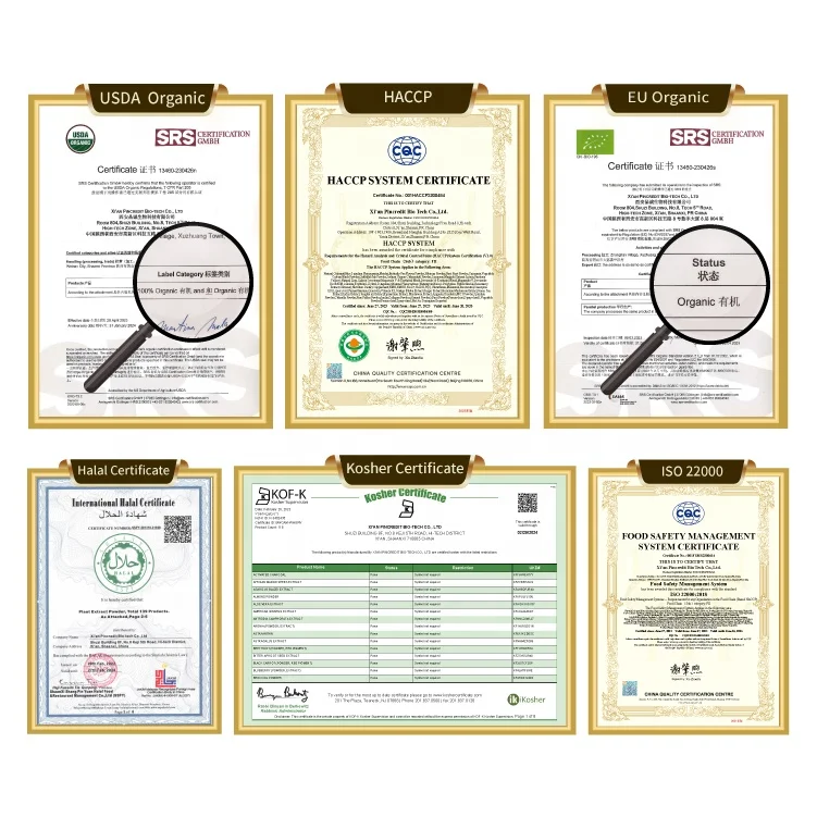 Novenzyme Wholesale Bulk Choline Glycerophosphate 50% 99% Pure Alpha GPC Powder