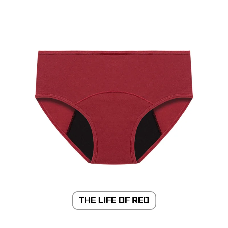 Leak Proof Large Flow Menstrual Panties Menstrual Period 4 Layers Menstrual Panty Period Underwear For Women