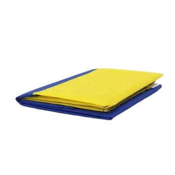 Advertising Banner Backpack With 45 x120cm  Flag Graphics