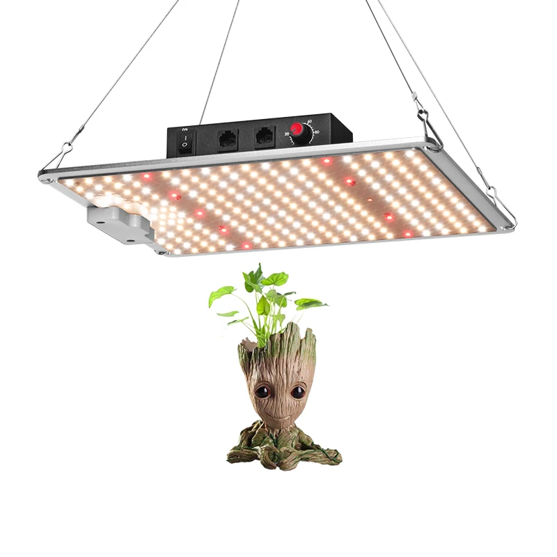 Dropshipping QBSSF1000 LED Grow Light Samsung Diodes MeanWell driver with daisy chain