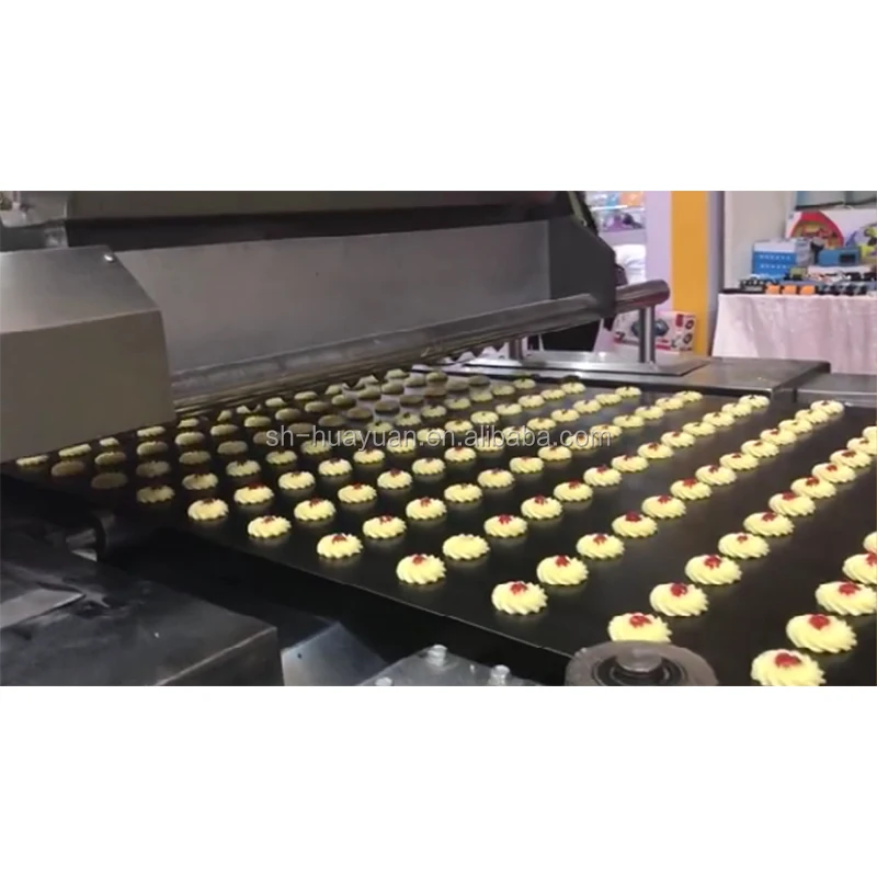 HYDXJ-600 Multi-functional Automatic Cookies Making Machine Cookies Production Line