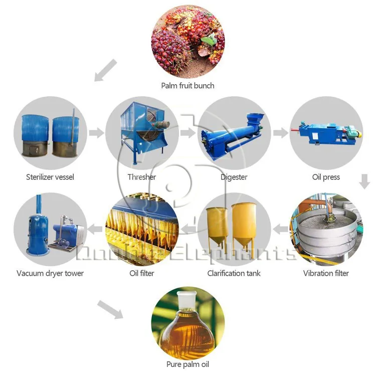 2T/H palm oil sterilizer palm kernel oil expeller machine for malaysia palm oil extraction plant