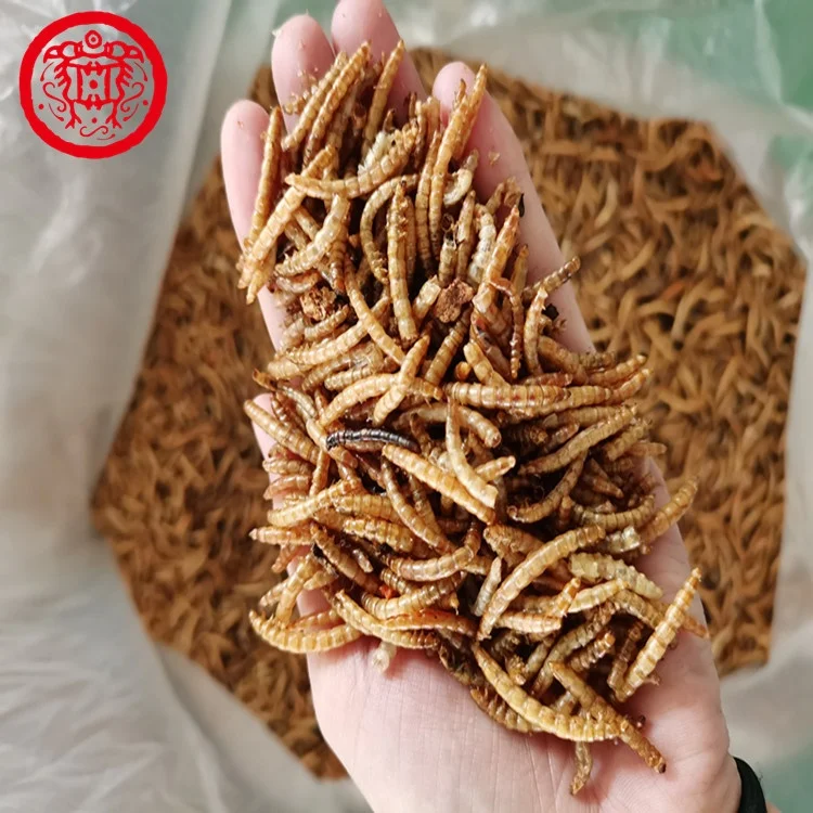 Factory High Quality Dried Tenebrio Molitor Mealworms Fish Pet Food