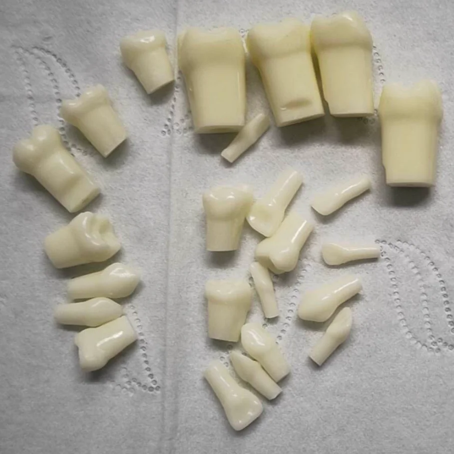 
 Стоматологические педиатрические зубы для стоматологической педиатрической мягкой гиндживы, модель челюсти  