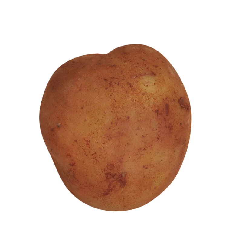 High Quality Vegetable Fresh Potato Bulk Potato Wholesale Price