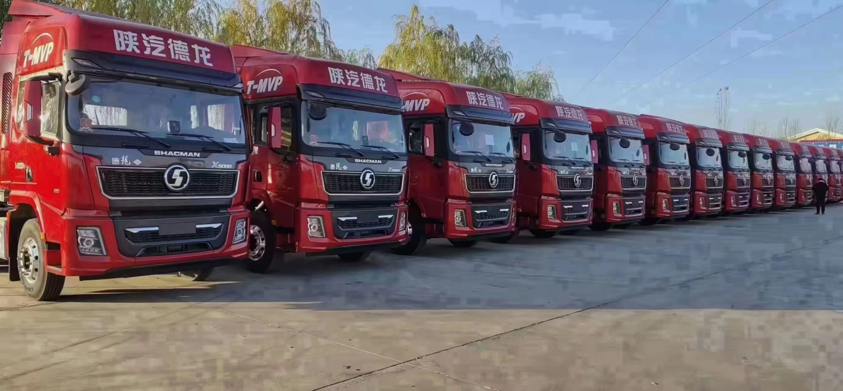 Best Selling Products Light Duty Diesel Power Manual Cargo Box Steel Truck Chassis