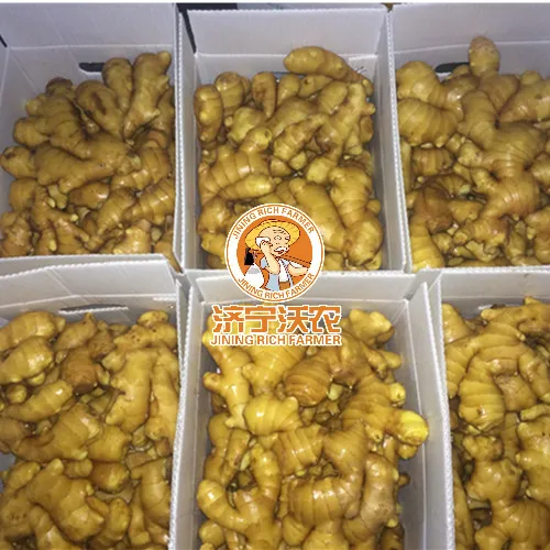 Fresh Ginger Buyers In China Good Quality Ginger Price Per Ton